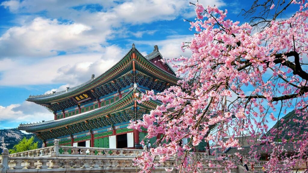 South Korea’s Best Attractions, Top Destinations, Must-Try Foods, Booking Tour Packages & Stays, and Travel Tips