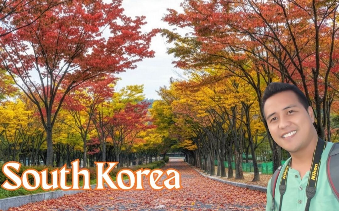 Budget Travel to South Korea Guide to Affordable Attractions, Cheap Hotels, Food, Transport Smart Travel Hacks