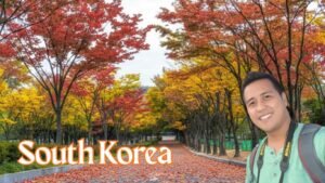 Budget Travel to South Korea Guide to Affordable Attractions, Cheap Hotels, Food, Transport Smart Travel Hacks