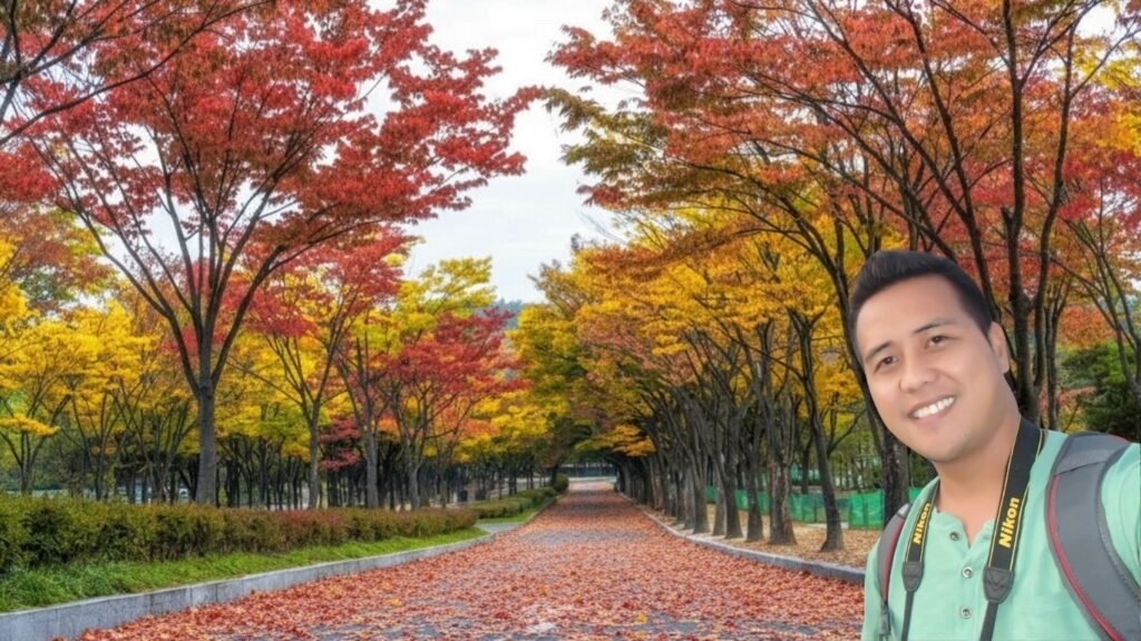 South Korea’s Best Attractions, Top Destinations, Must-Try Foods, Booking Tour Packages & Stays, and Travel Tips